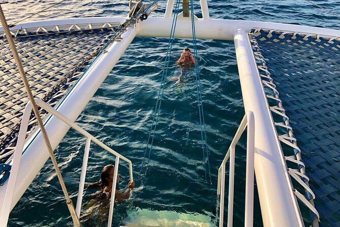 Moana’s Waikīkī Grand Guided Turtle Snorkel & Sailing Adventure - Starting at Kewalo Basin Harbor