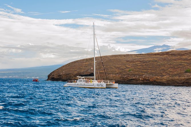 Molokini and Turtle Arches Snorkeling Trip from Ma'alaea Harbor - Is $209.99 a fair Maui price?