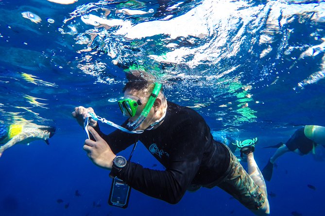 Molokini and Turtle Arches Snorkeling Trip from Ma'alaea Harbor - Who will enjoy this trip most?