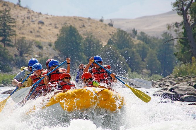 Montana Whitewater Half Day Raft Trip - Yellowstone River - Stop two: the Yellowstone River picnic area