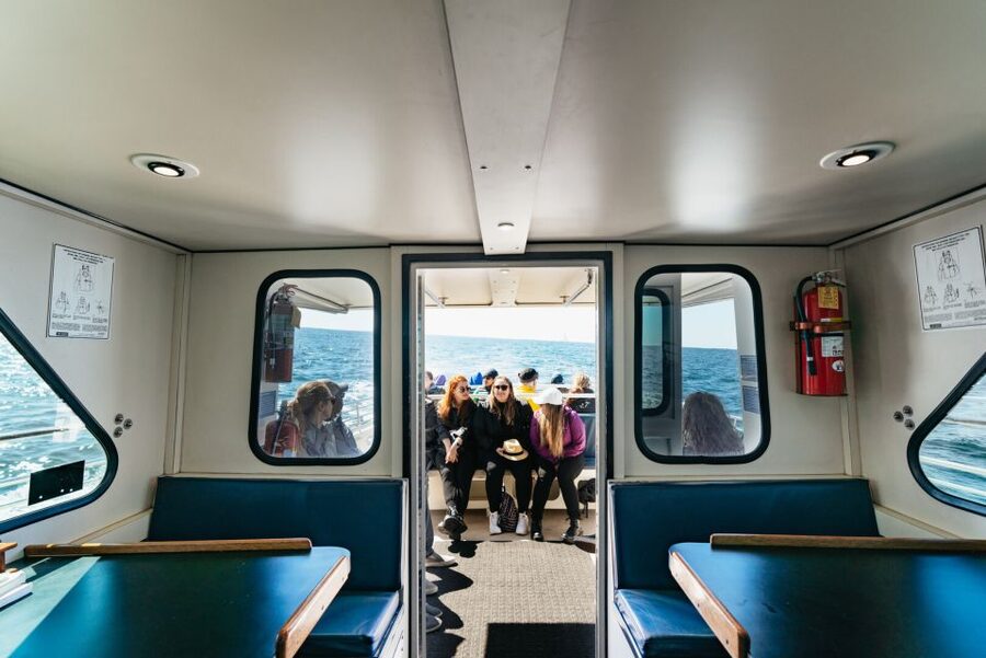 Monterey Bay: Whale Watching Tour - Who Will Enjoy This Most?