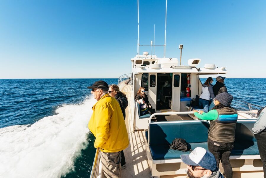 Monterey Bay: Whale Watching Tour - Passing Cannery Row and Entering Protected Waters
