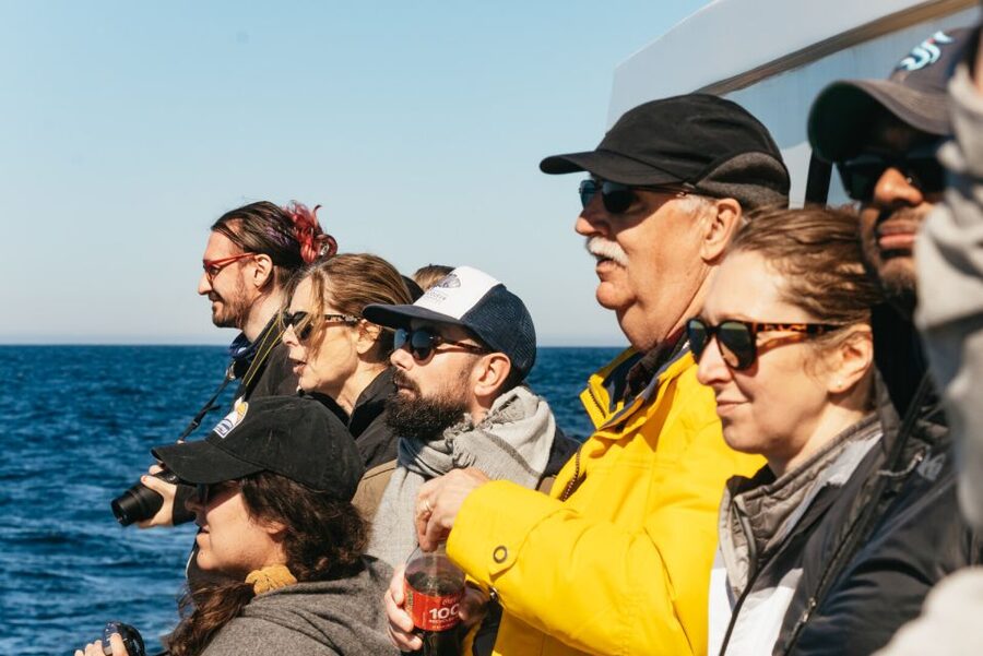 Monterey Bay: Whale Watching Tour - Summer and Fall: Following Feeding Humpbacks