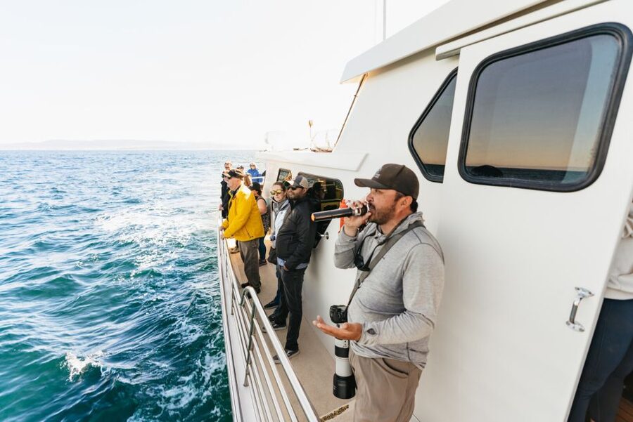 Monterey Bay: Whale Watching Tour - What the Boat Ride Feels Like