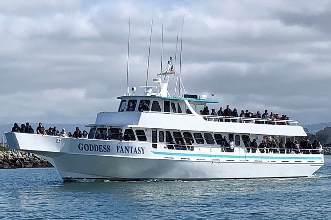 Monterey Bay Whale Watching - Reaching the dock without a costly mistake