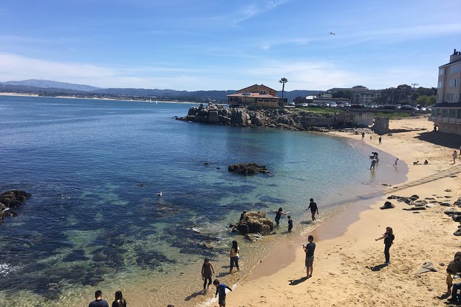 Monterey, Carmel and 17-Mile Drive: Full Day Tour from SF - What this San Francisco day trip really delivers