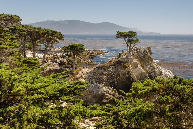 Monterey, Carmel and 17-Mile Drive: Full Day Tour from SF - Cannery Row gives you the most flexible free time