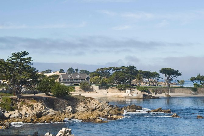 Monterey, Carmel and 17-Mile Drive: Full Day Tour from SF - Bird Rock is a quick look at coastal wildlife