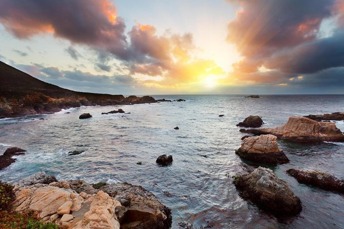 Monterey, Carmel and 17-Mile Drive: Full Day Tour from SF - The Lone Cypress is iconic, but the stop is brief
