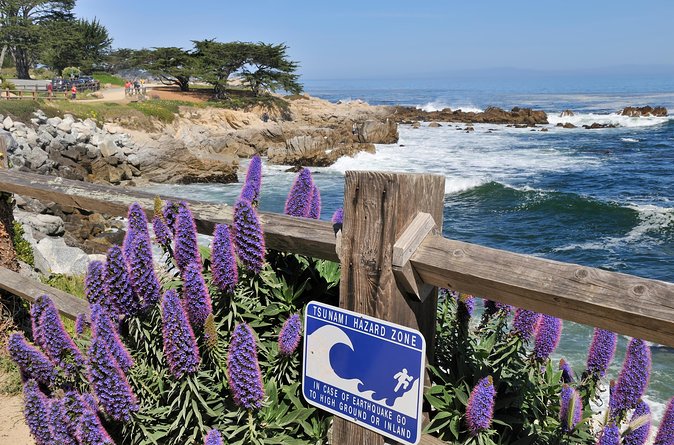 Monterey, Carmel and 17-Mile Drive: Full Day Tour from SF - Pebble Beach Golf Links adds a human story