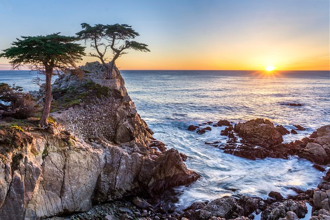 Monterey, Carmel and 17-Mile Drive: Full Day Tour from SF - Davenport provides a useful coffee and restroom stop
