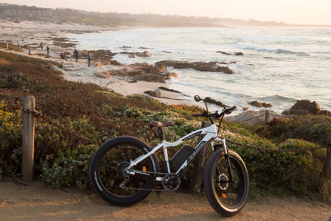 Monterey's 17 Mile Drive Guided Electric Bike Tour, 3 hr - The beginner family-friendly option