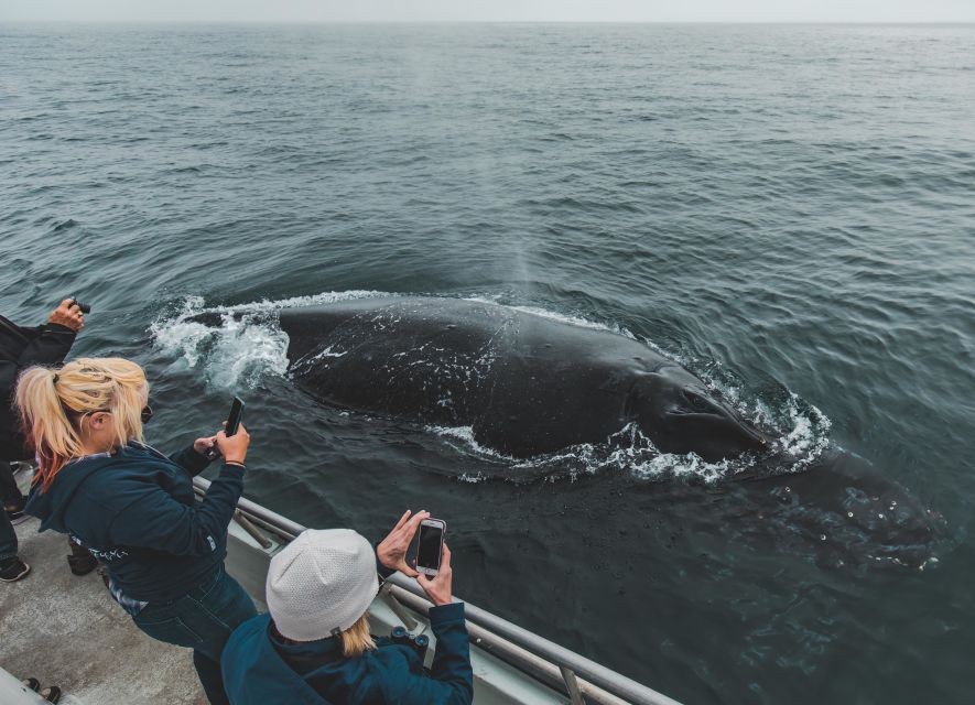 Monterey: Sunset Whale Watching Cruise with A Guide - Leaving Monterey Wharf for Monterey Bay