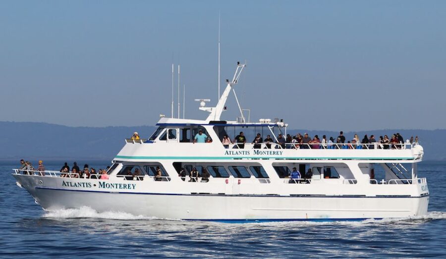 Monterey: Whale Watching Tour with A Marine Guide - Food, drinks, and comfort onboard