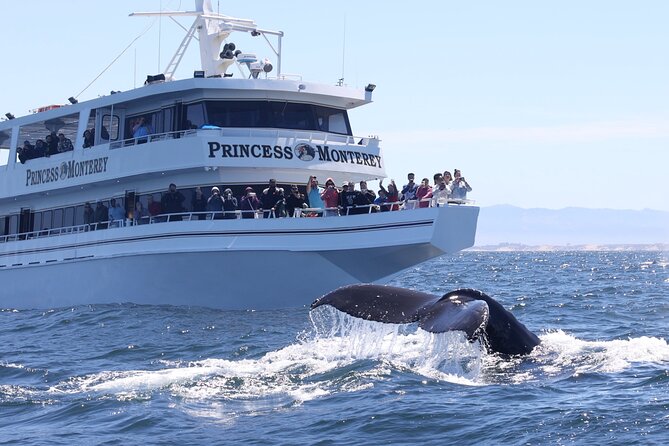 Monterey Whale Watching Tour - Leaving Fisherman’s Wharf on the big boats