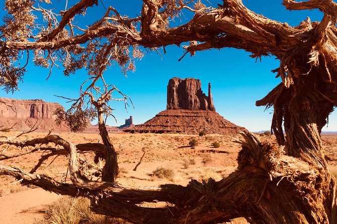 Monument Valley Extended Backcountry Tour - A hogan visit and the rug-weaving demonstration
