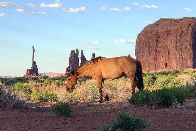 Monument Valley Group Tour - 3 Hours - Navajo Spirit Tours - Ancient petroglyphs and close-up details