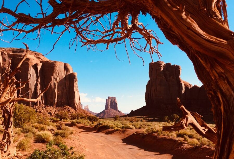 Monument Valley: Highlights Tour with Backcountry Access - Who will get the most from this tour