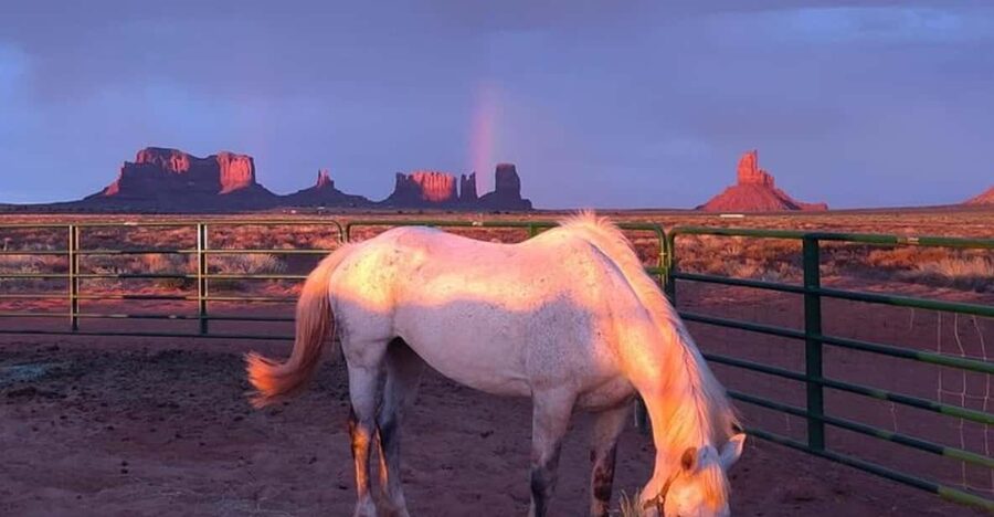 Monument Valley: Horseback Adventure Tour - Starting at D/D MTA Horse Tours near Monument Valley