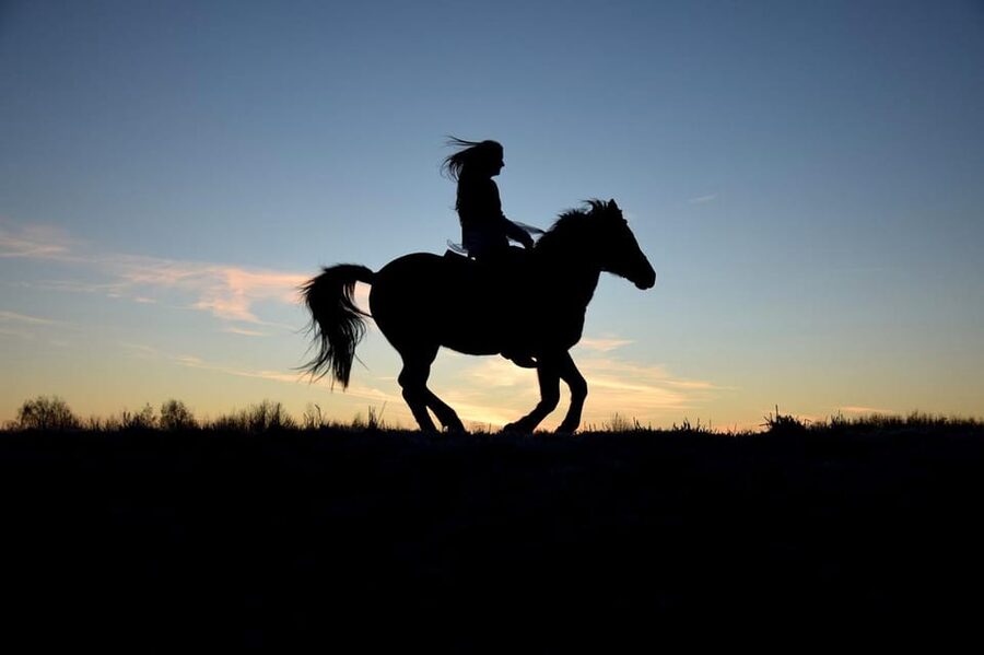 Monument Valley: Horseback Adventure Tour - Navajo culture and the value of the guide
