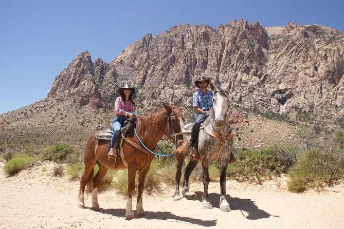 Morning Horseback Ride with Breakfast from Las Vegas - Meeting the horses at the Moapa ranch
