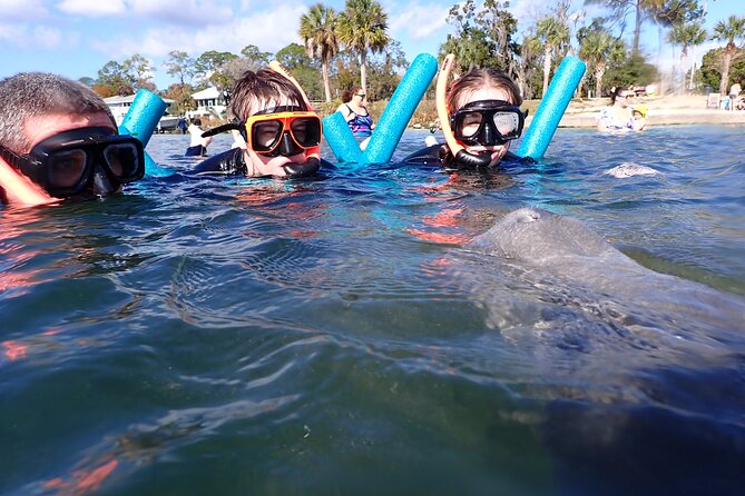 Most Popular 3hr Manatee Swim Tour + In-Water Guide! - Crystal River National Wildlife Refuge and manatee manners