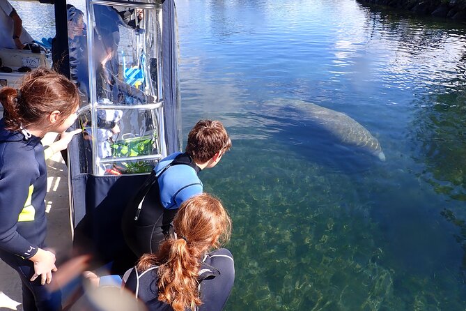 Most Popular 3hr Manatee Swim Tour + In-Water Guide! - Photographs: useful souvenir, uncertain quality