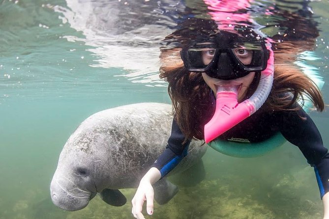 Most Popular 3hr Manatee Swim Tour + In-Water Guide! - The boat ride from Crystal River