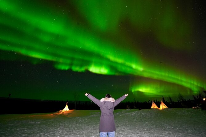 Mountaintop 360° Best Alaskan Cabin with Photography @Aurora Camp - Key points to know before booking