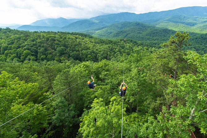 Mountaintop Zipline 2-Hours Activity - Four sky bridges and the parts between the lines