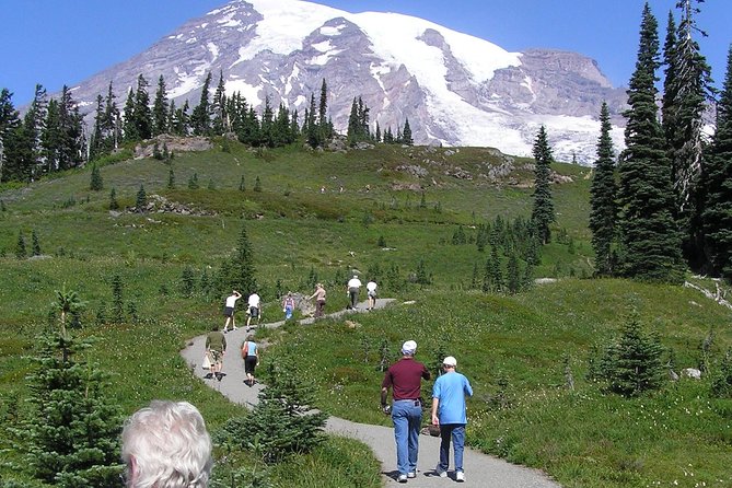 Mt. Rainier Day Tour from Seattle - Paradise is the day’s main prize
