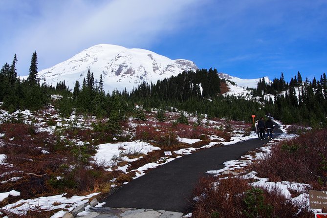 Mt. Rainier Day Tour from Seattle - Reflection Lakes and Tipsoo Lake are bonuses, not promises