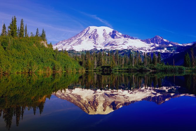Mt. Rainier Day Tour from Seattle - Twin Firs adds a forest walk