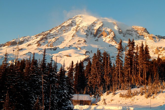 Mt. Rainier National Park Highlights Tour - The best parts of the day at a glance