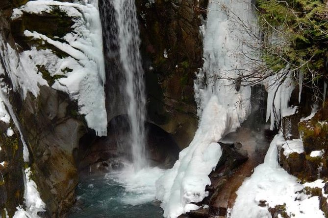 Mt. Rainier National Park Highlights Tour - The scenic road toward the volcano