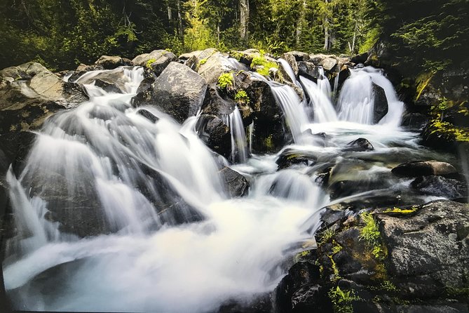 Mt. Rainier National Park Highlights Tour - Christine Falls is the classic bridge photograph