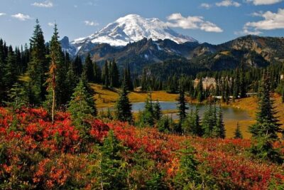 Mt. Rainier National Park Highlights Tour