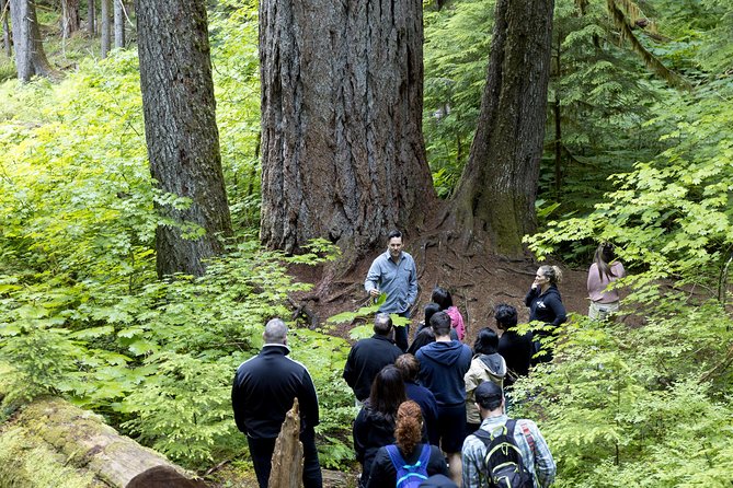 Mt. Rainier National Park Highlights Tour - Paradise is the day’s main test of weather