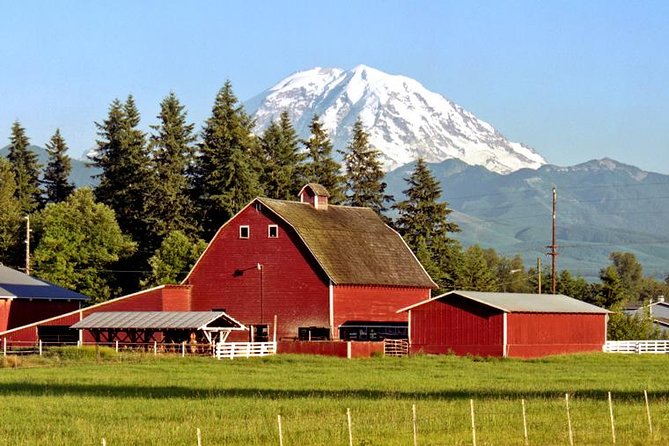 Mt. Rainier National Park Highlights Tour - Summer brings Reflection Lakes and possible Sunrise views