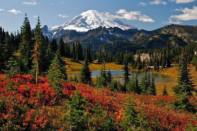 Mt. Rainier National Park Highlights Tour - Longmire gives the park a human story