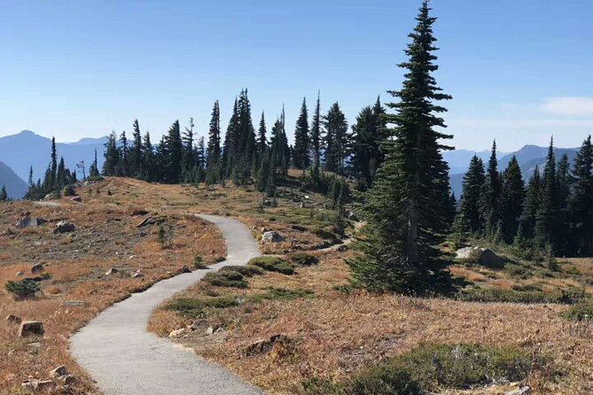 Mt Rainier National Park Small Group Day Tour from Seattle 2CanGo - Five things to know before you book