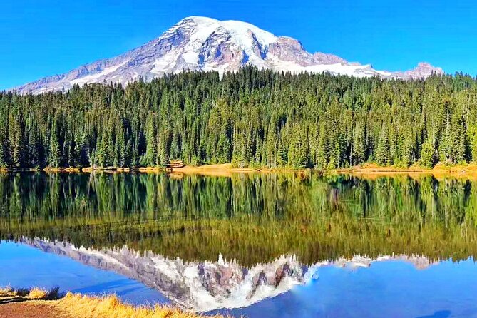 Mt Rainier National Park Small Group Day Tour from Seattle 2CanGo - Paradise is the heart of the summer visit