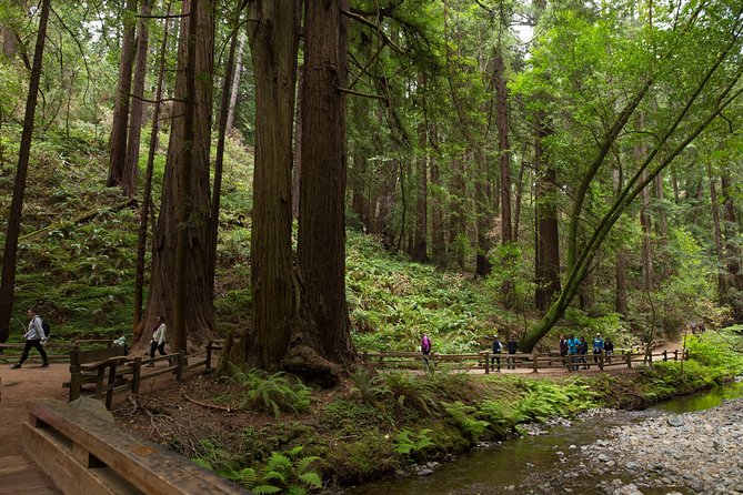 Muir Woods and Sausalito (Return by Bus or Ferry) - The Golden Gate Bridge vista point