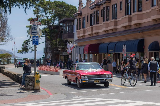 Muir Woods and Sausalito (Return by Bus or Ferry) - What the guides add to the ride