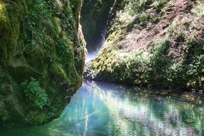 Multnomah Falls and Columbia River Gorge Half-Day Hiking Tour - Why four hours works well from Portland