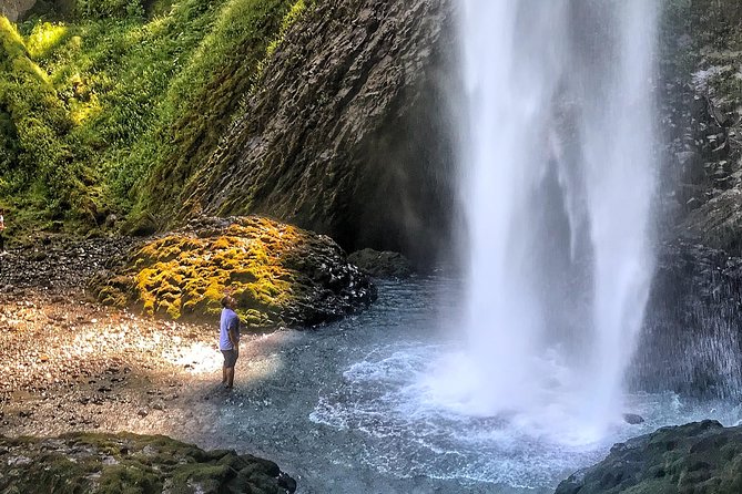 Multnomah Falls and Columbia River Gorge Half-Day Hiking Tour - The guides make the scenery easier to understand
