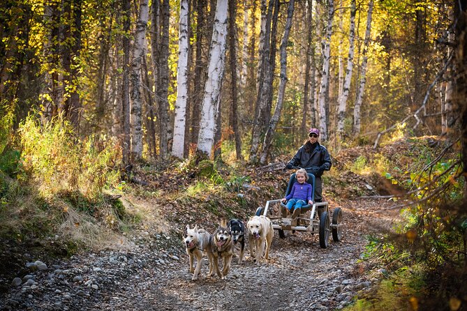 Mush Your Own Sled Dog Team (Summer/Fall Tour) - What makes the small group worthwhile