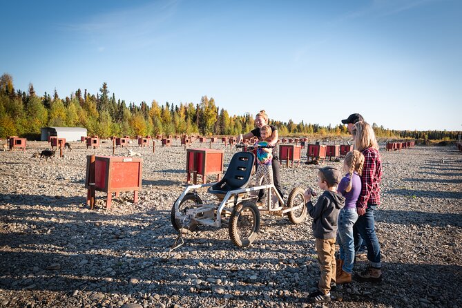 Mush Your Own Sled Dog Team (Summer/Fall Tour) - What the summer and fall format gets right