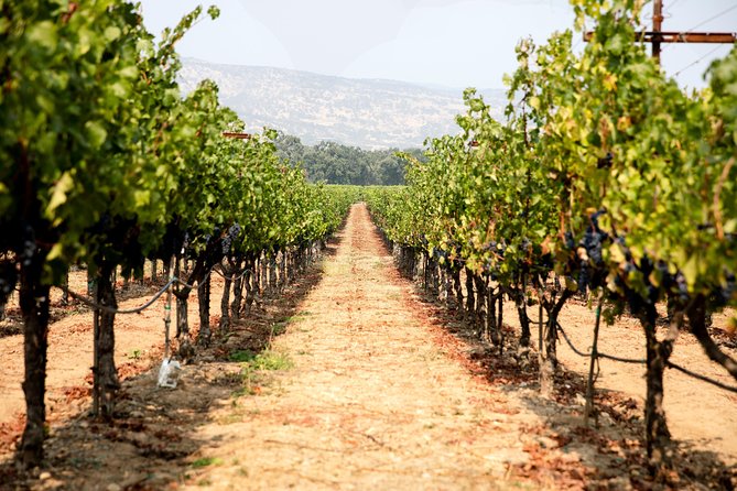 Napa and Sonoma Wine Country Full-Day Tour from San Francisco - Crossing the Golden Gate Bridge at 8:40 a.m.