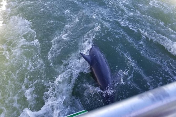 Naples Sightseeing Boat Tour - What the Commentary Adds